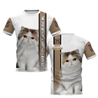 Футболки CLOOCL с животными, 3D графика, время потраченного с кошкой, футболка с кошками, экзотические короткие футболки с принтом, модная забавная одежда