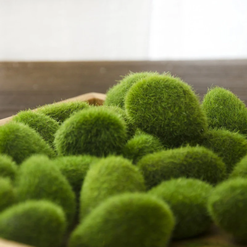 

Micro Landscape Grass Stone Figurine Home Decor 2022 Christmas Miniature New Year 2022 Fairy Garden Decoration Accessories 1PC