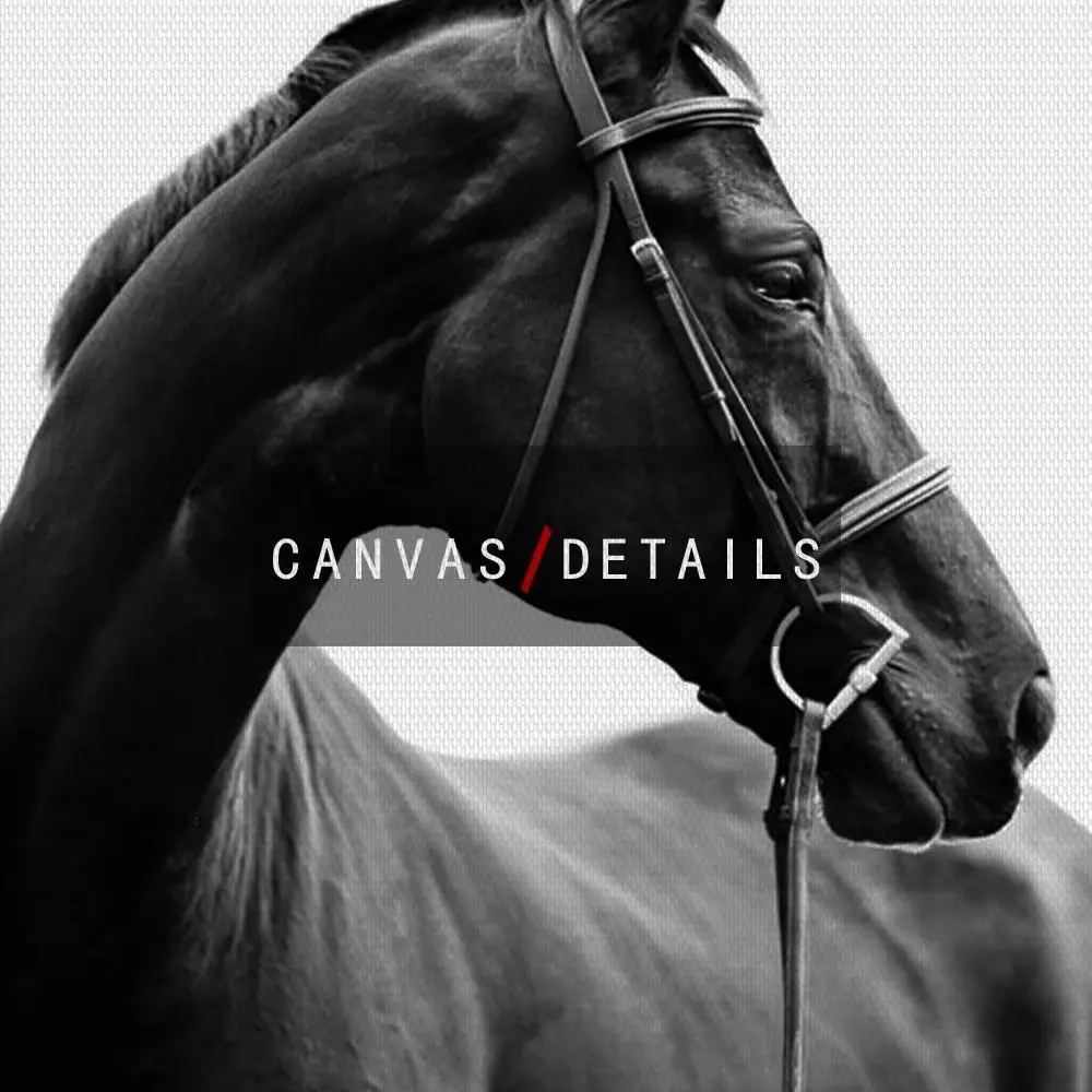 

Black and White Animals Poster Horses Wall Art Canvas Painting and Prints Wall Pictures for Living Room Modern Home Decor