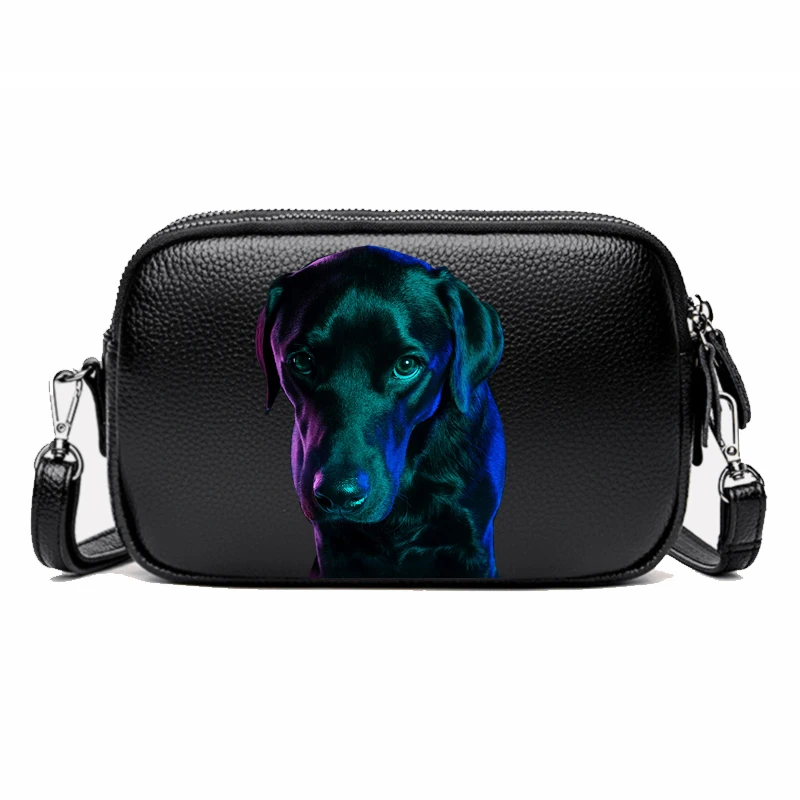 

Новинка 2021, маленькая сумка через плечо, женская модная сумка-мессенджер Ins из натуральной кожи, кошелек, простые Стильные сумки через плечо ...