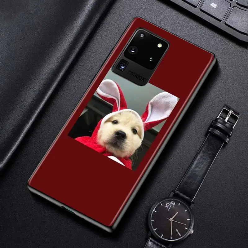 

Cute Little Cat Dog for Samsung S20 FE Ultra Plus A91 A81 A71 A51 A41 A31 A21S A11 A72 A52 A42 A32 A12 A02S Phone Case