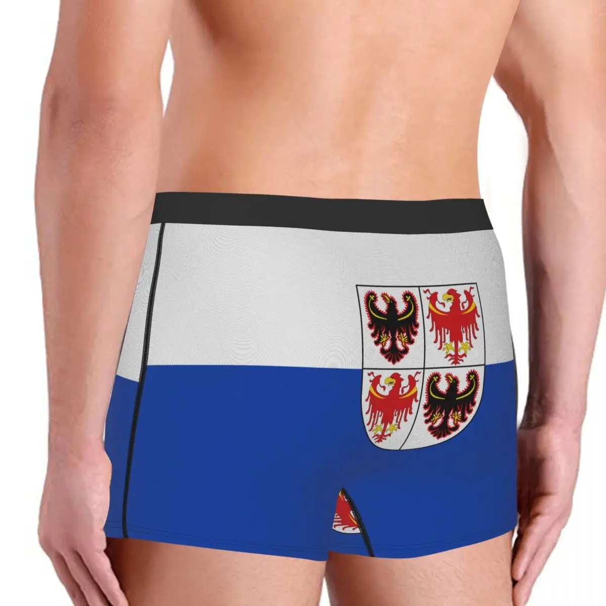 Flag Of Trentino-South Tyrol Men's Boxer Briefs regions of Italy Funny Novelty elastic pants for men
