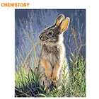Набор для рисования по номерам на холсте кролик, 60x75 см