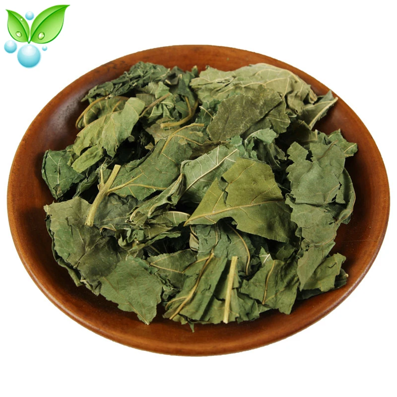 Листья тутового шелкопряда листья Gan Sang Ye прозрачные легкие и увлажняют сухость |