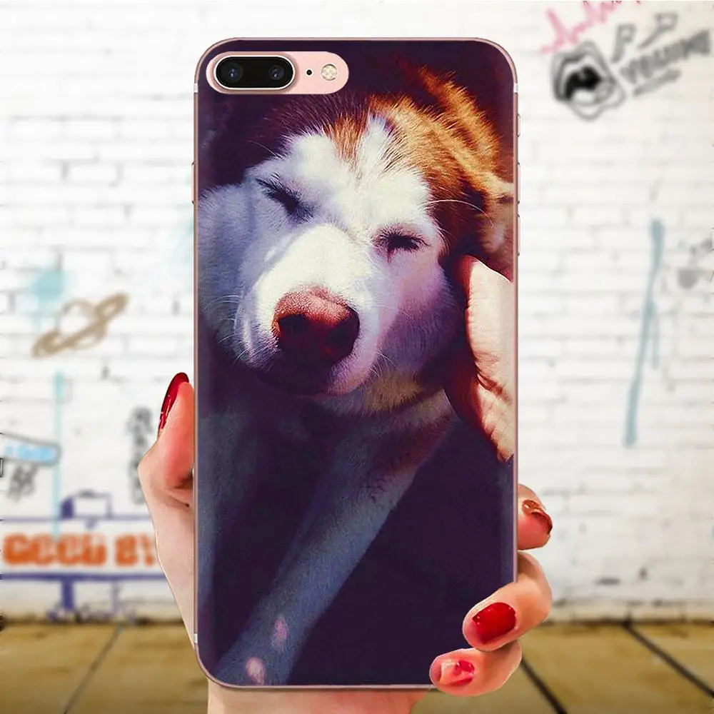 Мягкий чехол из ТПУ для Xiaomi Redmi Mi 4 7A 9T K20 CC9 CC9e Note 7 9 Y3 SE Pro Prime Go Play Puppy Alaskan