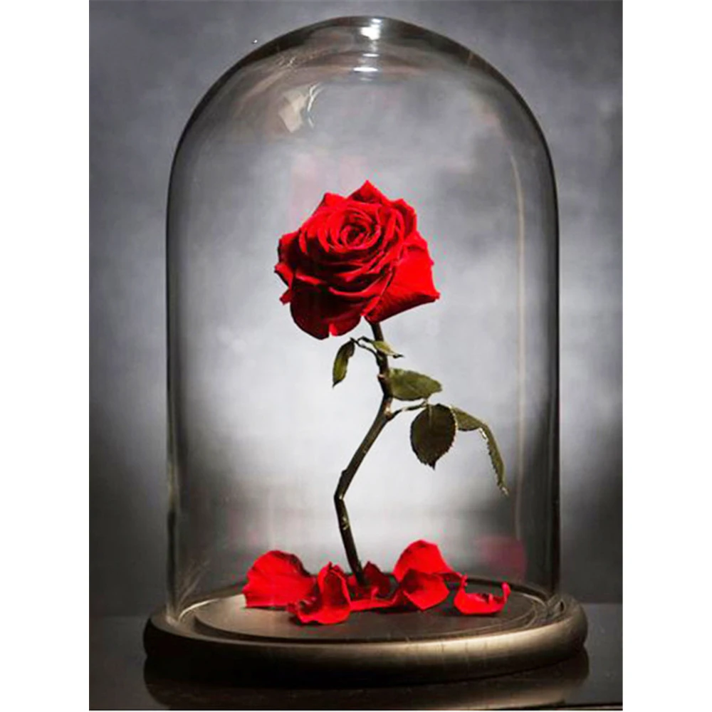 

Набор для вышивки крестиком 11CT, набор для рукоделия, холст с принтом розы, хлопковая нить, черный и белый цвета