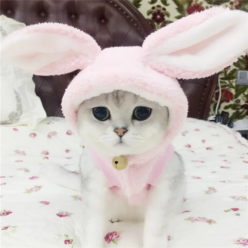 

Mase rabbit fur ball pet dog clothes autumn and winter models teddy british short cat clothes coat