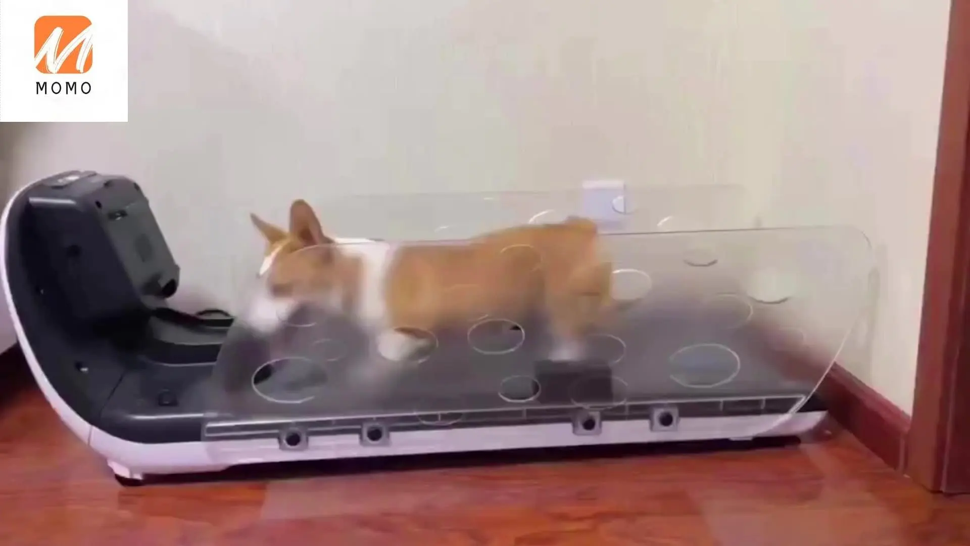 Рисунок 2 - Прямая продажа с завода