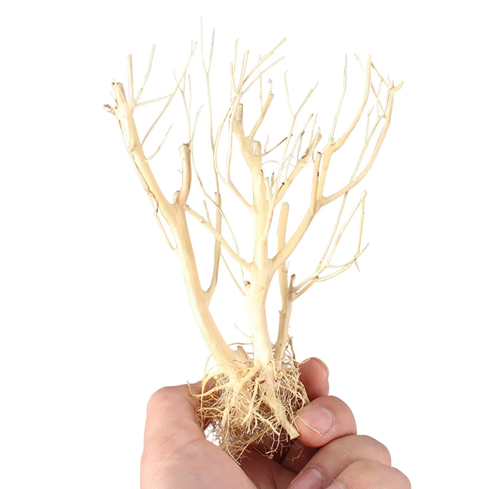 Аквариум для рыб змеи Террариум окружающая среда маленький аквариум дрифвуд