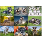 Schnauzer собака Алмазная картина по номеру Кристалл Стразы Daimond вышивка, полный квадратный Мозаичный набор 5D Вышивка крестом