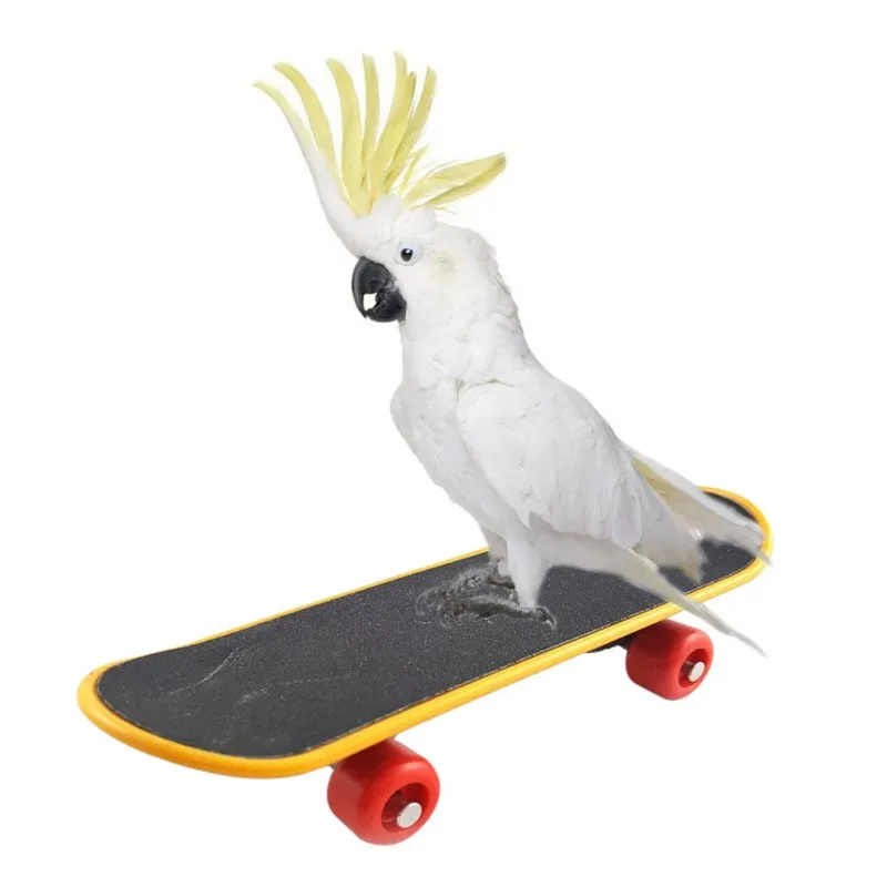 

14 cm Pet Bird Supplies Pet Intelligence Foot-talon Toys Training Mini Skateboard Stand Perch for Parrot