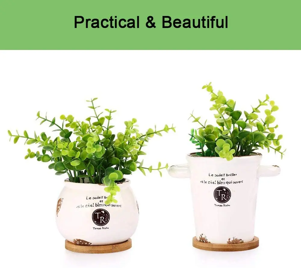 4 шт бамбуковые прослойки в круглый поднос цветочного горшка семена бонсай