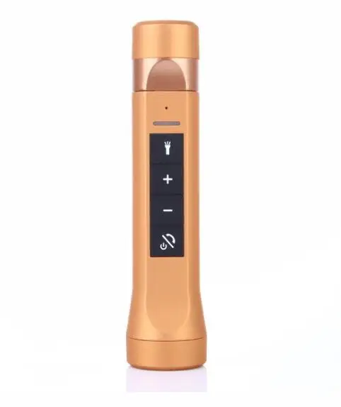 Золотой Динамик для велосипеда MP3-плеер USB TF слот кардридера езды аудио спортивный динамик с функцией Bluetooth Литий-ионный аккумулятор fm-радио светодиодный фонарик - Цвет: Золотой