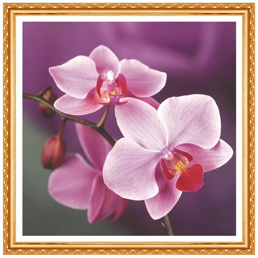 Рождественский DIY Алмазный рисунок &quotОрхидея&quot Алмазная вышивка крестиком