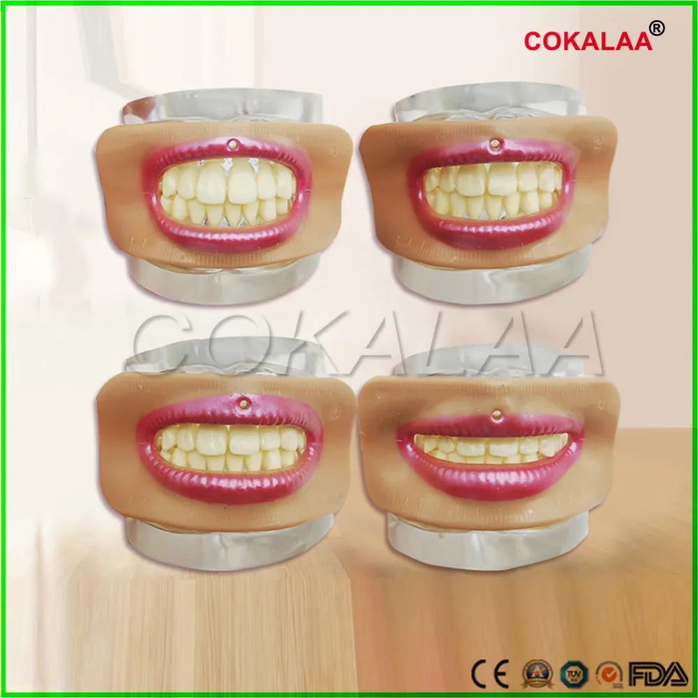 Инструменты для измерения полости рта стоматологические лабораторные