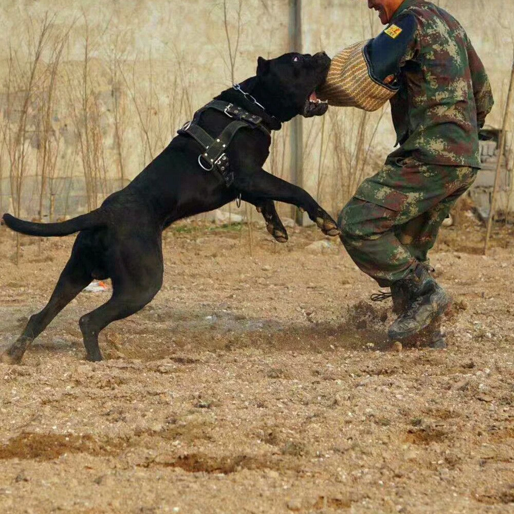 K9 прочная собачья шлейка и поводок для средних и больших собак сверхмощный Французский бульдог жгут жилет нейлоновый тренировочный собачий ободок для собаки