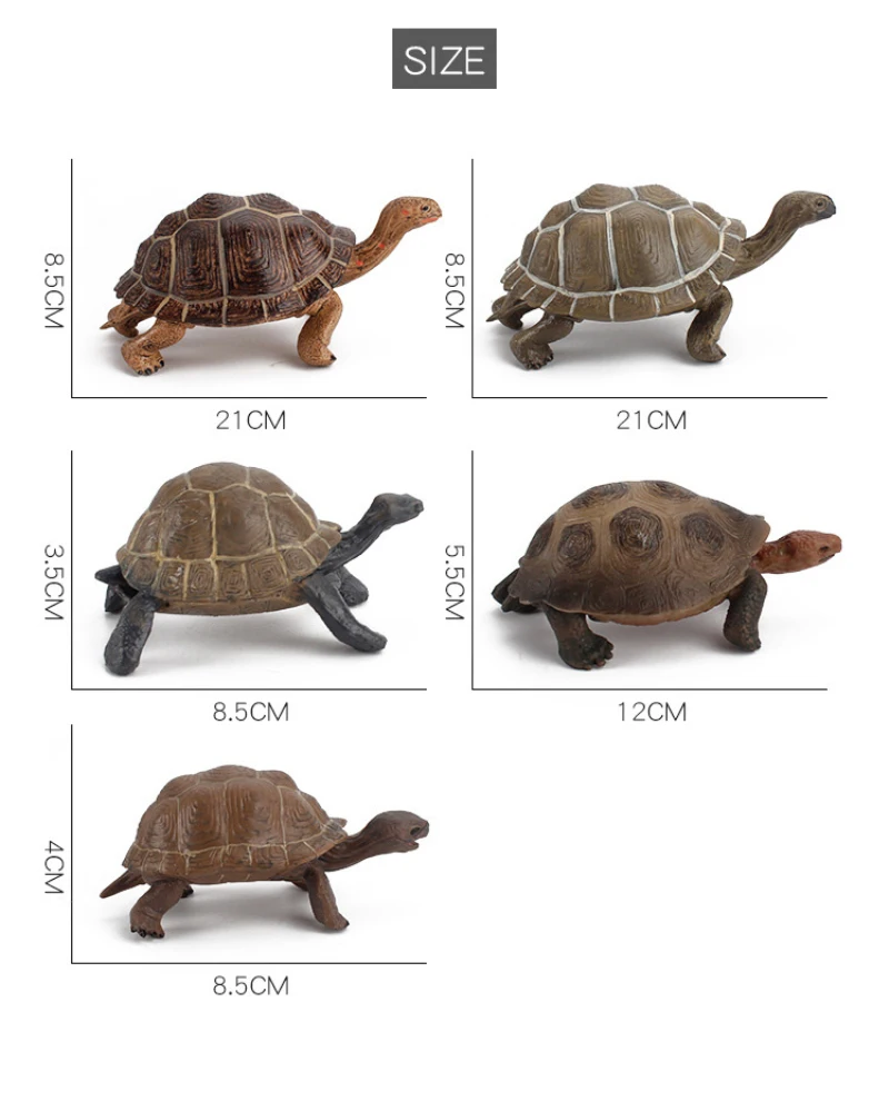 

Galapagos Tortoise Turtle Model Figure Animal Toy Desktop Decoration Collectable Gift PVC Realistic Turtle Model
