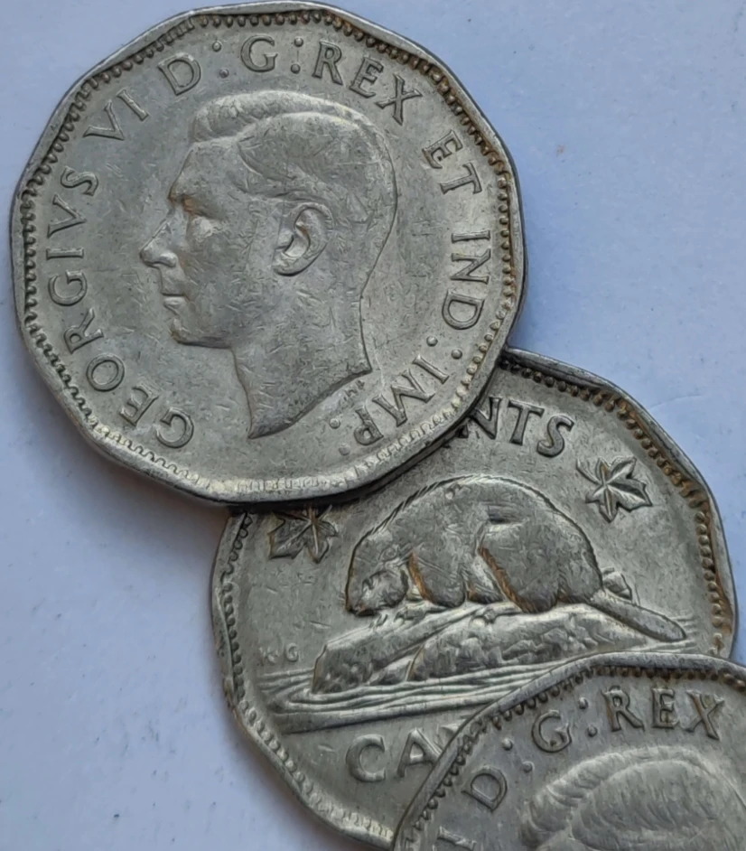 21мм бобр 100% настоящая памятная монета оригинальная коллекция - купить по