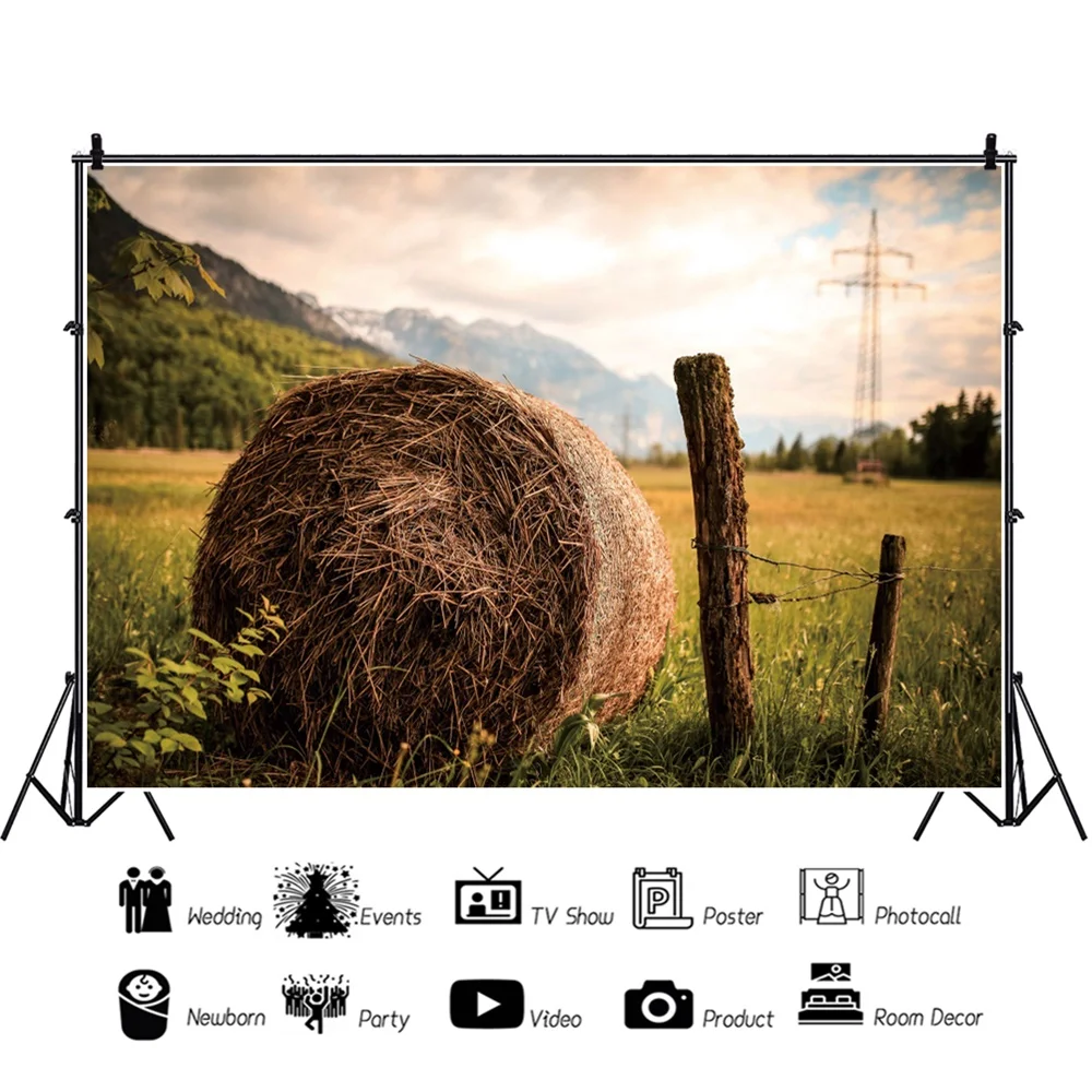 Laeacco пейзаж фотосессия дерево Пшеница стек Декор фотографии фоны