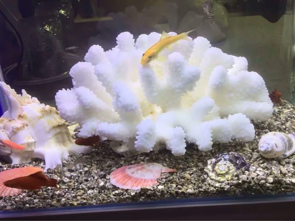 Белый коралл скульптура домашний Декор стильный декоративные элементы