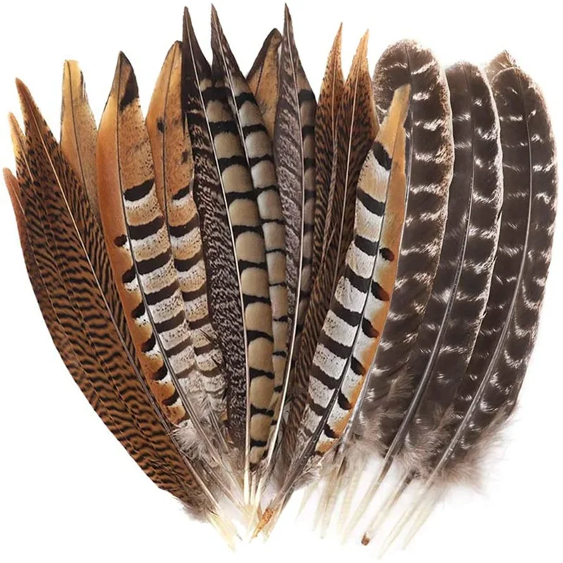 

10pcs Natural pheasant feather for craft diy Turkey feathers for jewelry making Wedding needlework Home decoration Plumes 3-40CM