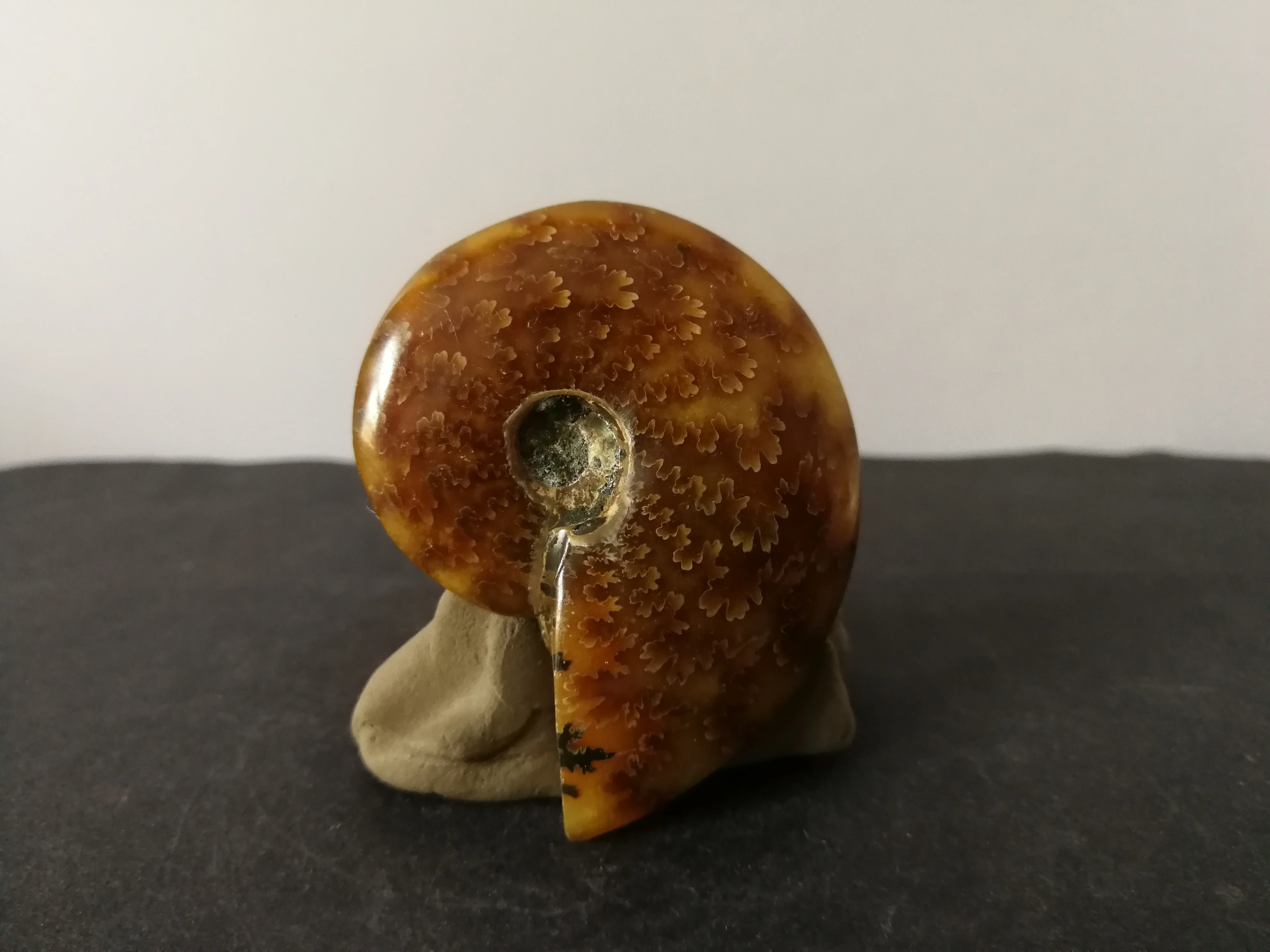 45 7 gNatural аммонита с украшением в виде кристаллов образец кварца энергии исцеления