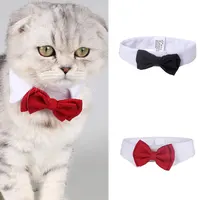 Бабочка для кота