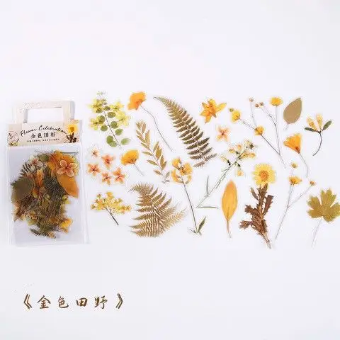 

ins wilderness fresh and transparent PET waterproof sticker bag retro plant flower hand account DIY decorative stickers