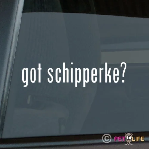 Получили наклейку Schipperke высеченный винил Наклейка на окно #2|Наклейки для