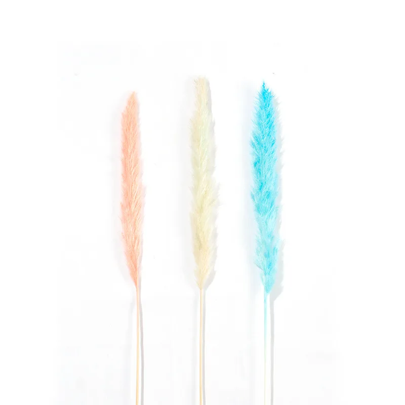 Сушеные цветы Reed Pink Pampas трава цветочный магазин украшение реквизит для