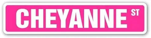 

Metal Signs,Road Street Sign,Thick Tinplate Print Poster,CHEYANNE name kids childrens room door bedroom girls boys gift Wall