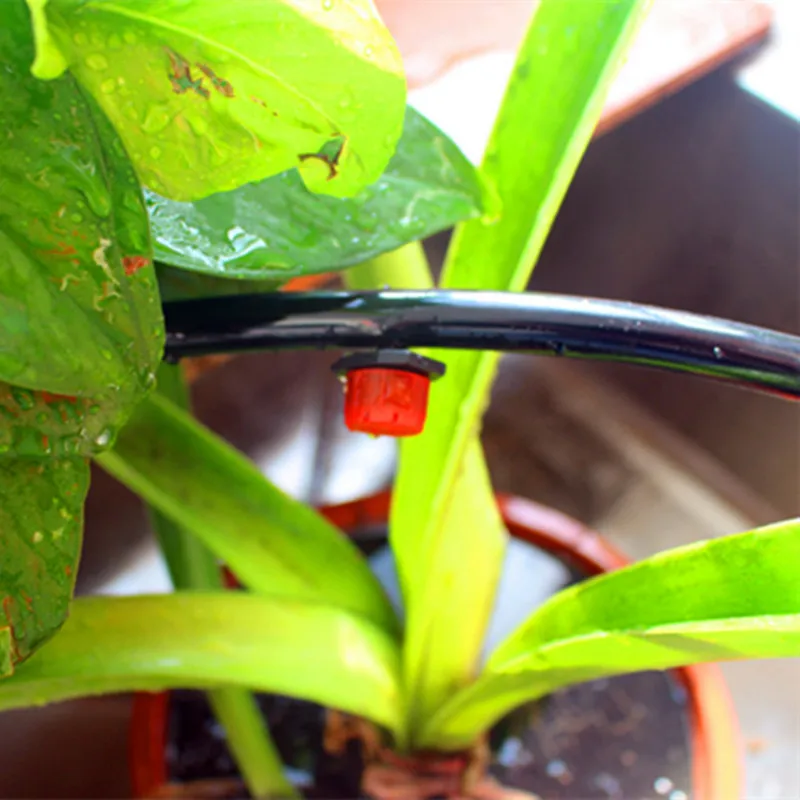 10 шт. орошения сада на случай запотевания стекол можно использовать капельница с