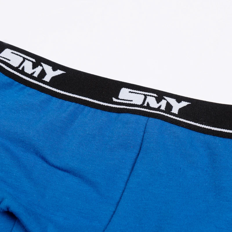 2 шт. хлопковые трусы боксеры для мальчиков|Нижнее белье| |