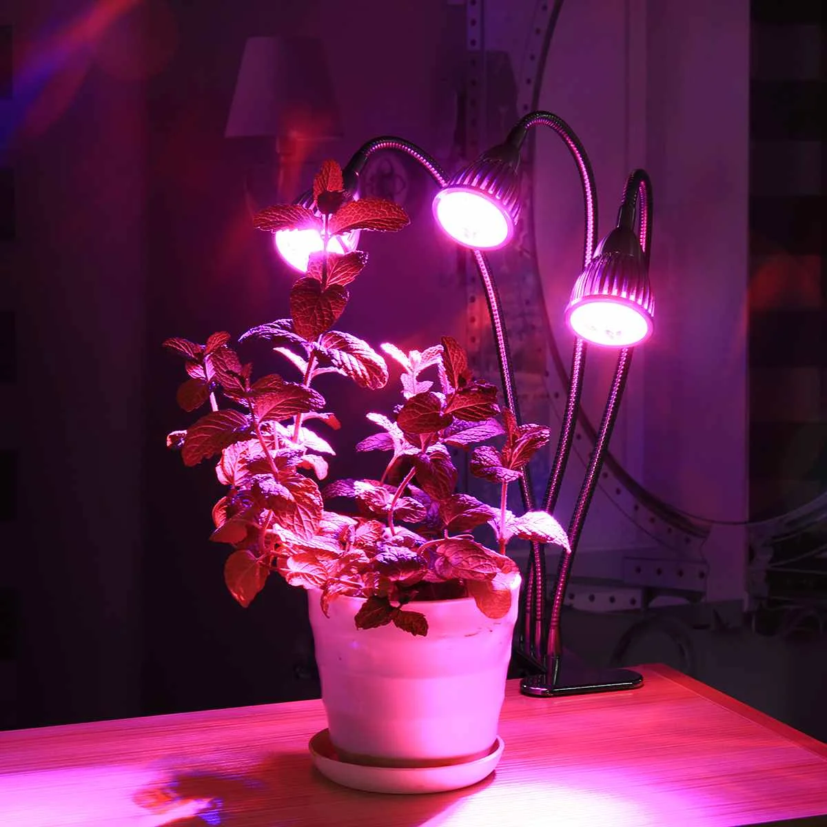 

Led Grow Light Phytolamp for Plant Lamp Full Spectrum Grow Tent Lights Lamp Grow Lamp Indoor Lighting Hydroponic Growth Light