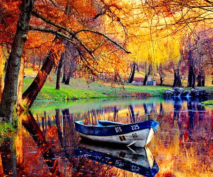 Снег стиль вышивка Счетный крест наборы рукоделие-ремесла 14 ct DMC цвет DIY Искусство