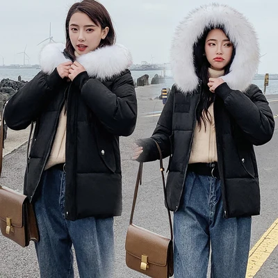 Женская Повседневная теплая куртка в сеточку осенне-зимнее пальто FP5100 дешево