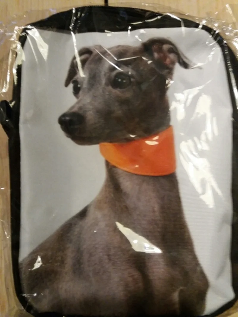 Миниатюрные сумки мессенджеры THIKIN через плечо с принтом Greyhound Dog на заказ Детская