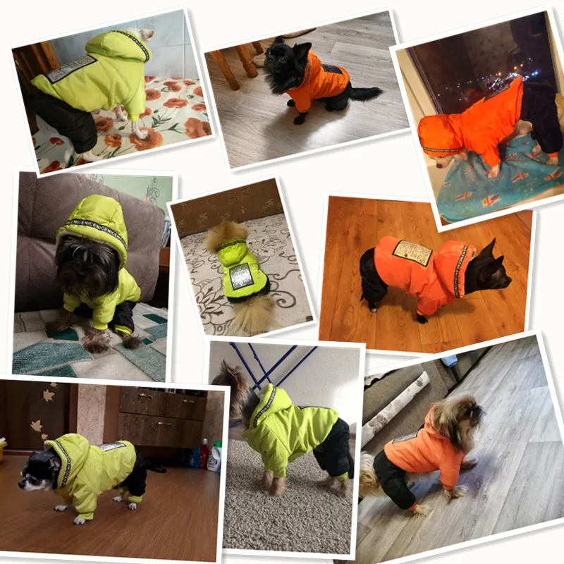 Повседневный Комбинезон для собак с надписью на четыре лапы одежда зимняя теплая
