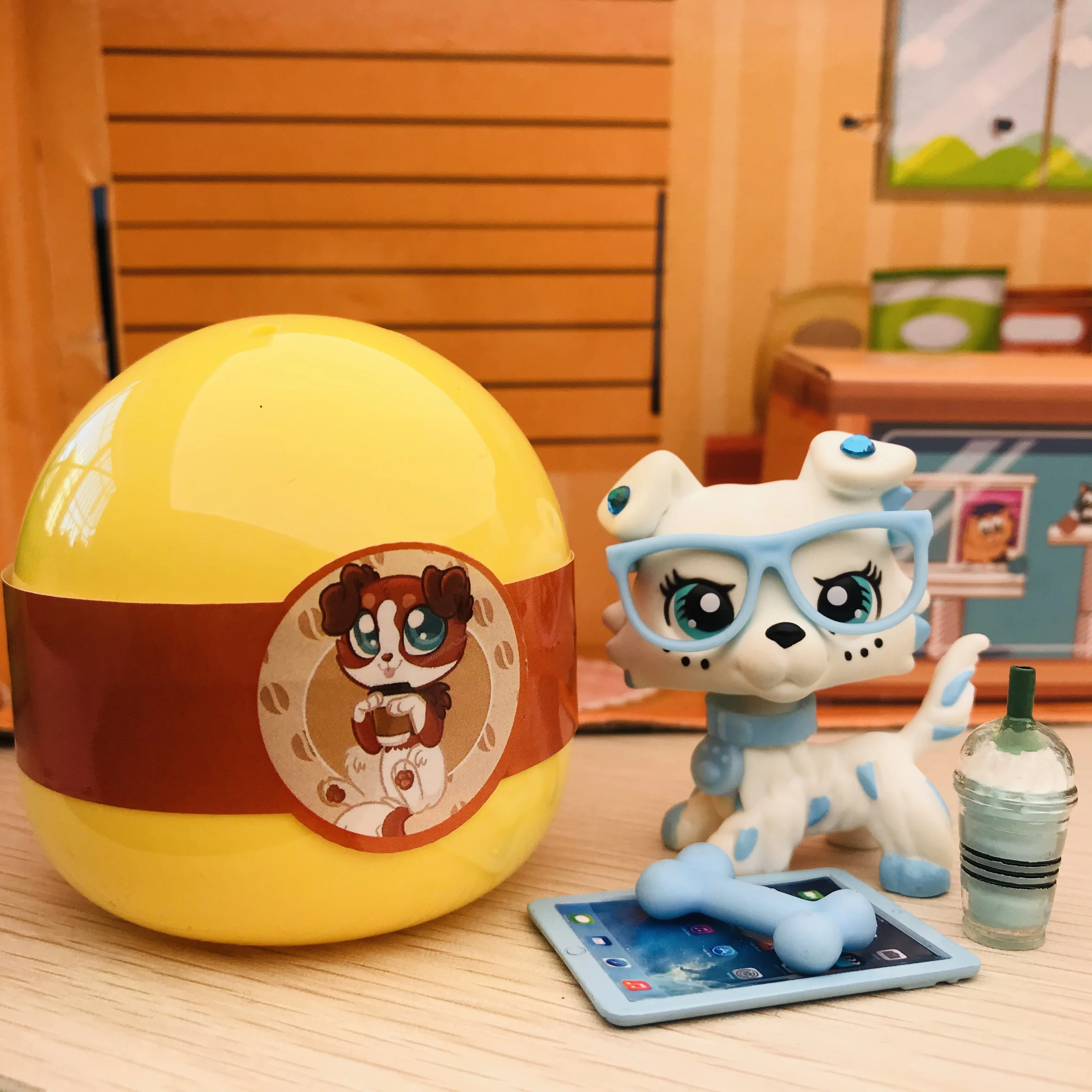 Зоомагазин новинка изготовленные на заказ короткие волосы кошка белые голубые