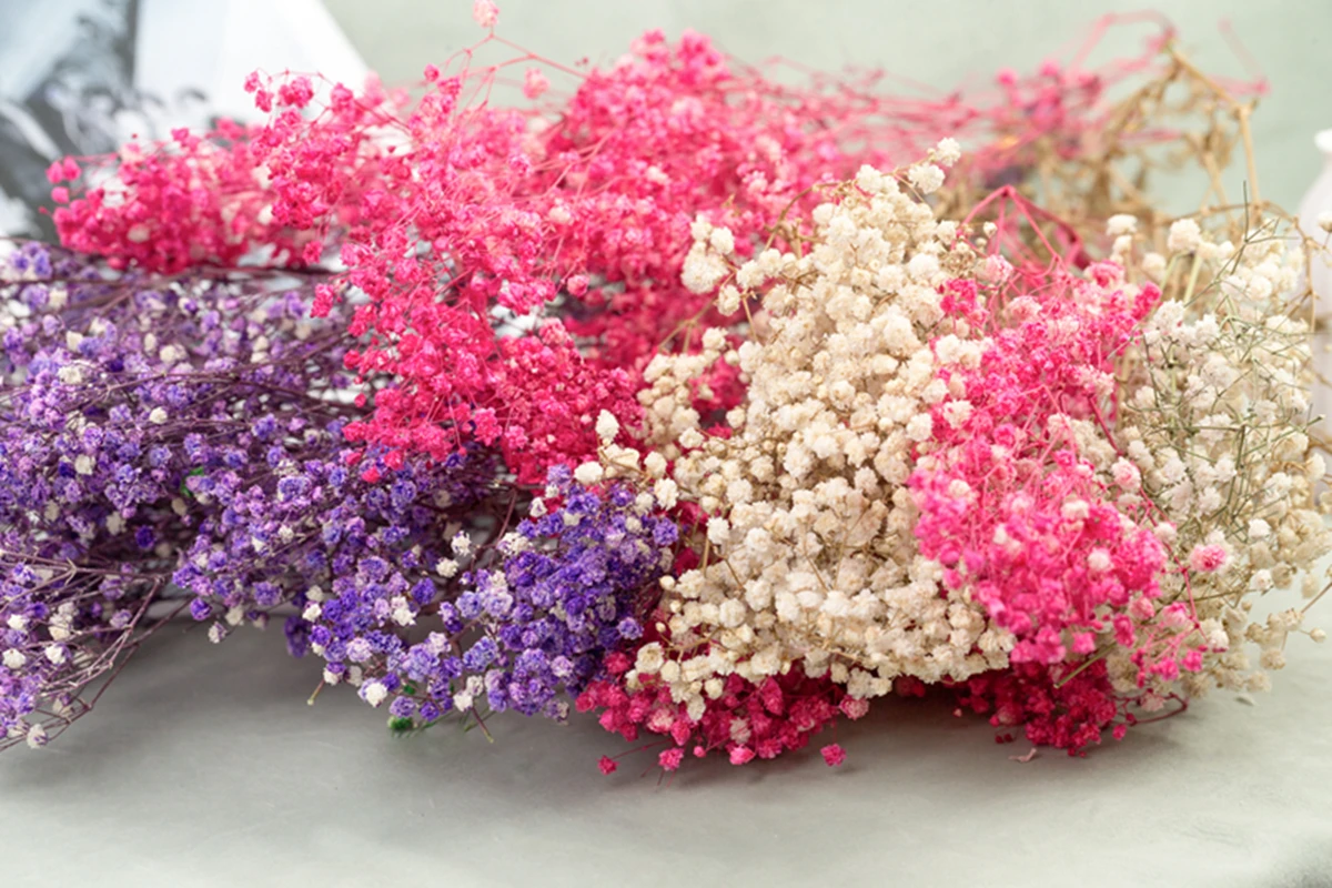 

Valentines Dekoration Natural Fresh Dried Preserved Flowers Gypsophila Paniculata Baby's Breath Flower Bouquets Gift For Wedding