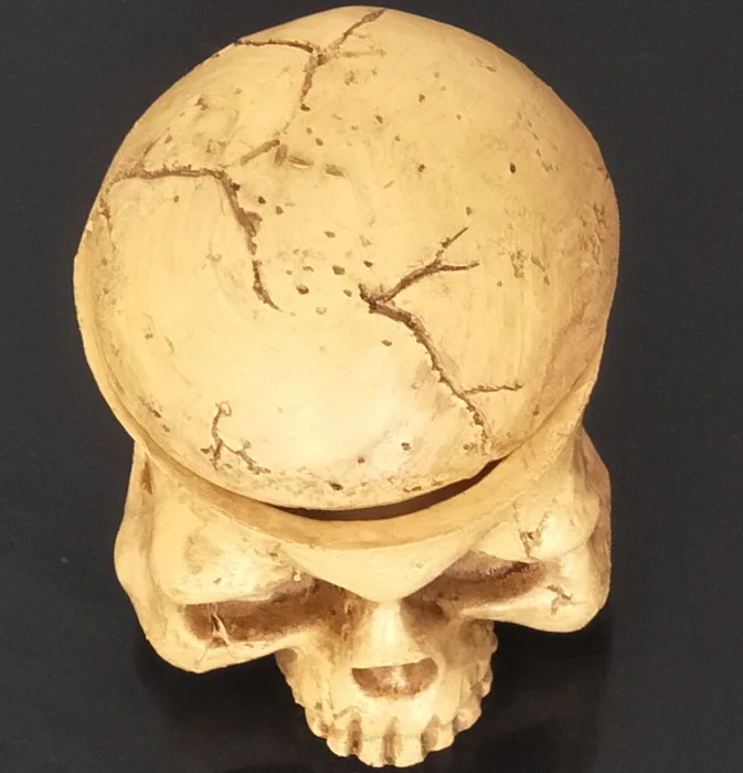 1 шт. жесткая полимерная чашка для татуировок типа черепа/колпачки-держатели