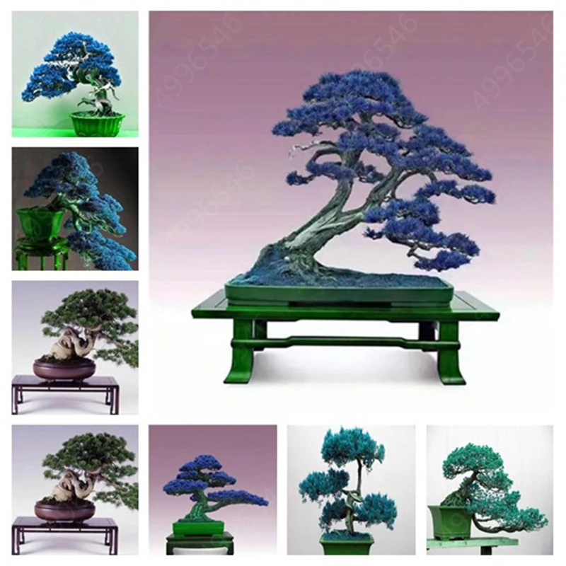 Аквариум Рок орнамент в стиле бонсай аквариум для рыб скалы искусственные