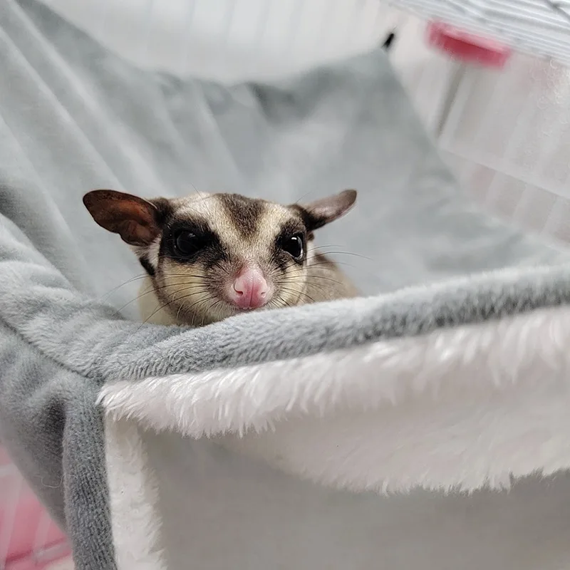 Теплый Гамак для хомяка крыса искусственный дом белка морская свинка