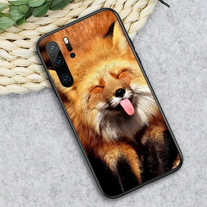 

Raccoon Fox cute cartoon animal high quality Phone Case For Huawei honor Mate P 10 20 30 40 i 9 8 pro x Lite smart 2019 nova 5t