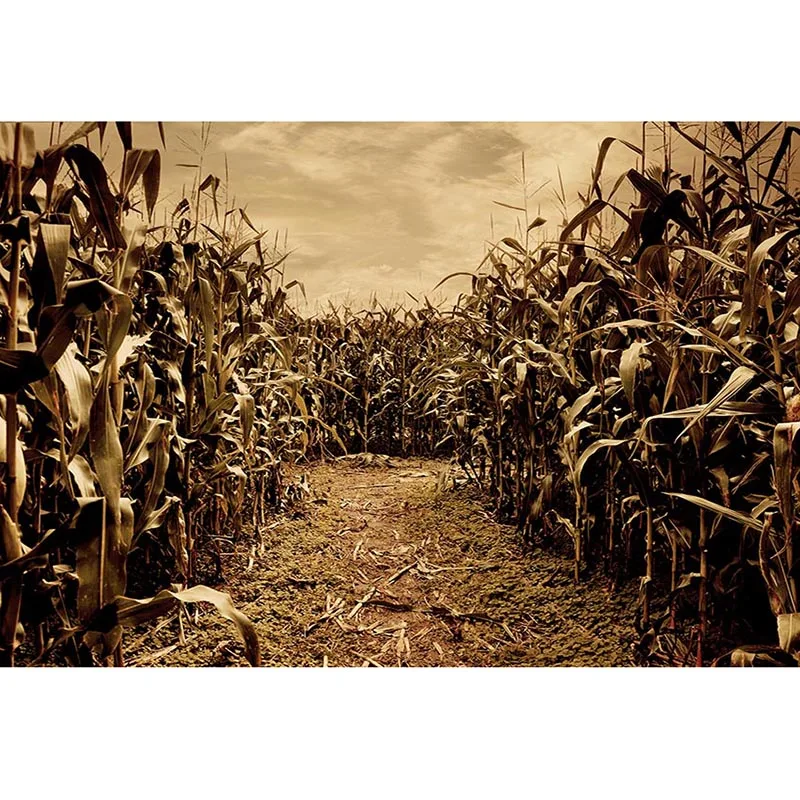 

Autumn Corn Field Photography Background Photographic Backdrops Photo Studio Children Photocall