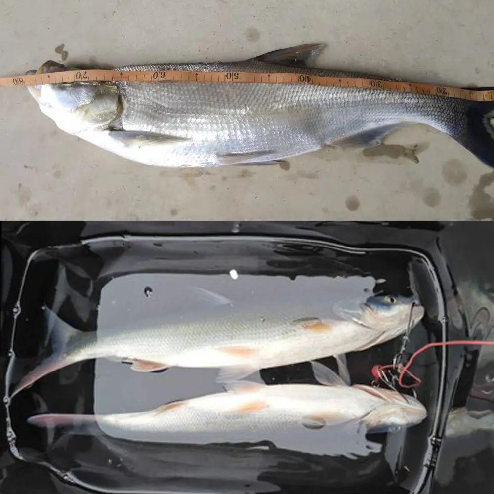 Как бросок с берега Jig Slow Metal Jigging Тонущая приманка 20g30g35g50g80g для морской воды