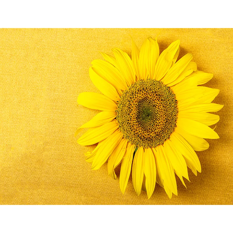 

Vinyl Custom Photography Backdrops Prop Flower and Wooden Planks Photography Background 200212SU-010