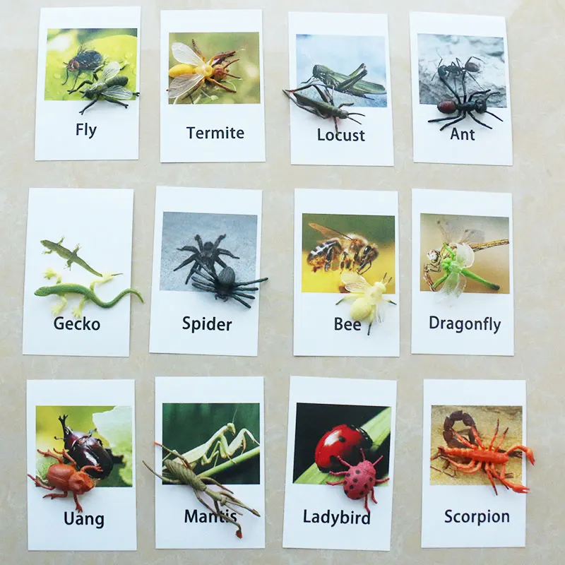 

Montessori Infant Toys Insect Cards Set Match Game Learning Educational Toys for Toddlers Juguetes Brinquedos YJ1344H