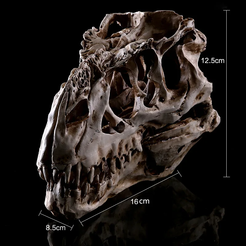 

Tyrannosaurus Dinosaur Skull Specimen Resin Indoor Decoration Halloween Packaging Resin Charms Home Decore Living Room