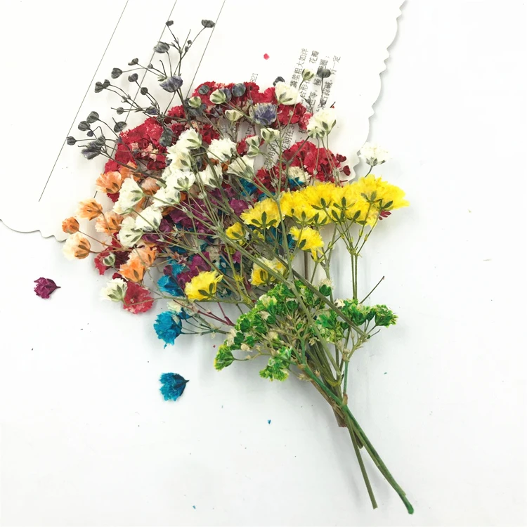 8 шт./пакет смешанный прессованный цветок маленькие сушеные Искусственные цветы